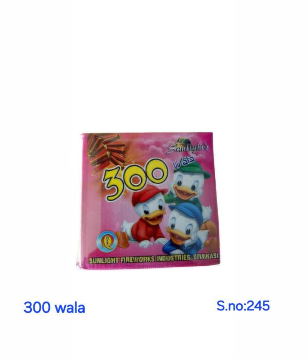 300 Watts