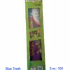 Blue Tooth