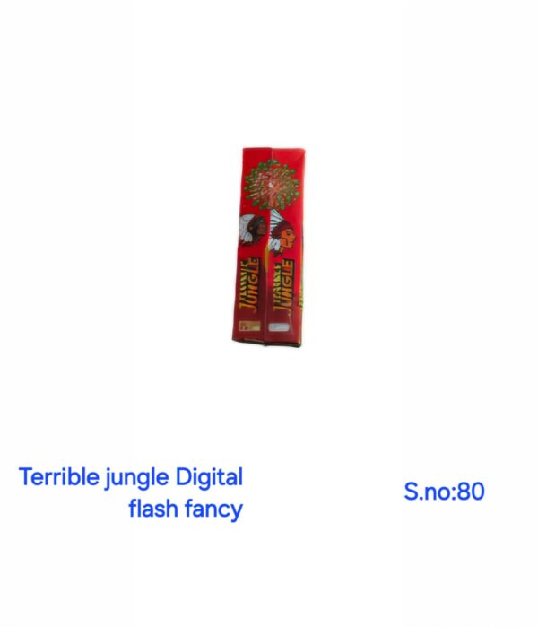 Digital Flash