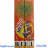 Digital Sound