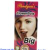 FLOWER POT BIG