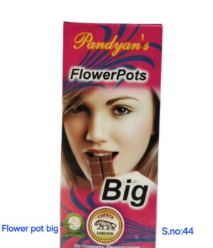 FLOWER POT BIG